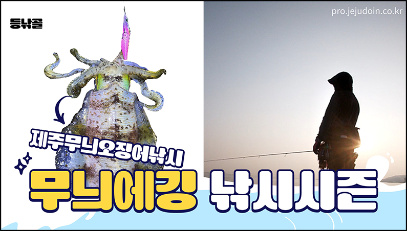 제주무늬오징어낚시시즌
